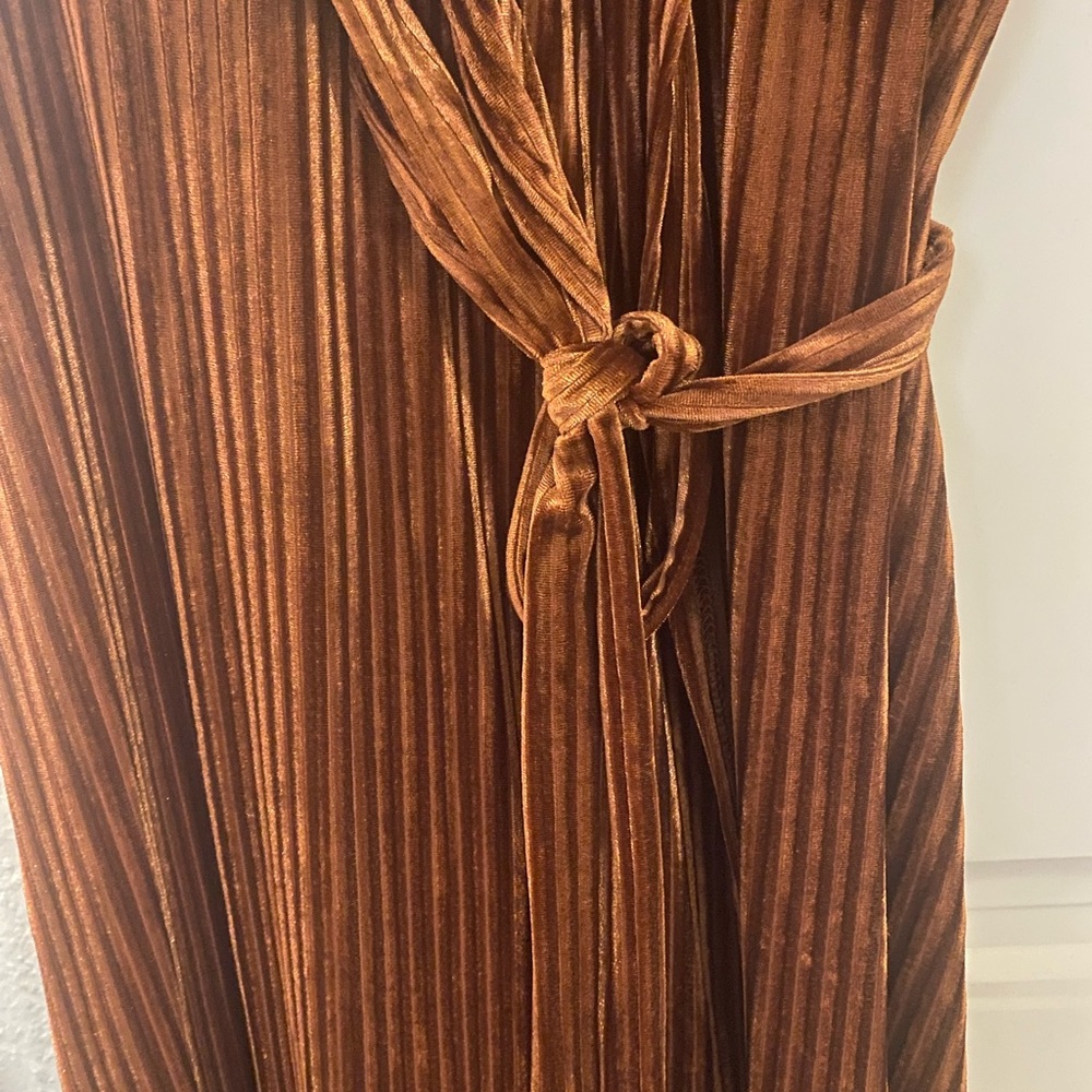 Brand New Velvet dress